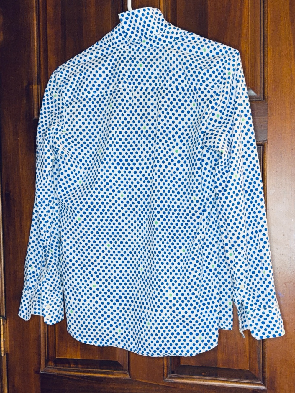 Gap vintage Blue Polka Dot women’s Button-Up Shirt